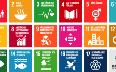 Revansch för Agenda 2030 i ljuset av CSRD?